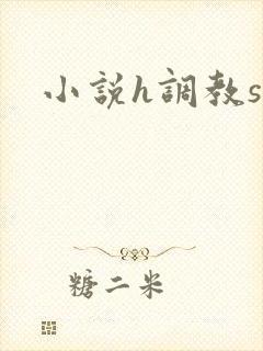 小说h调教sm