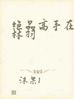 绝品高手在都市林羽