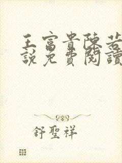 王富贵陈若兮小说免费阅读