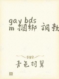 gay bdsm 捆绑 调教 男奴