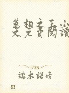 万相之王小说全文免费阅读无弹窗