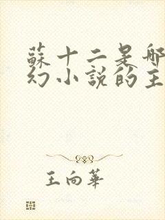 苏十二是哪部玄幻小说的主角