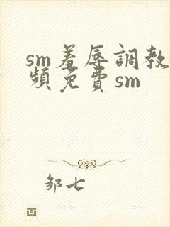 sm羞辱调教视频免费sm