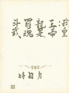 斗罗龙王:我的武魂是帝皇铠甲