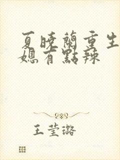 夏晓兰重生八零媳有点辣