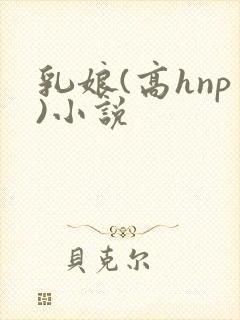 乳娘(高hnp)小说