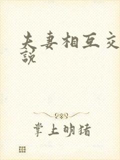 夫妻相互交换小说