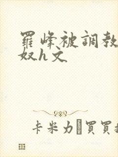 罗峰被调教成肉奴h文封面