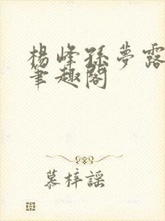 杨峰孙梦露小说笔趣阁