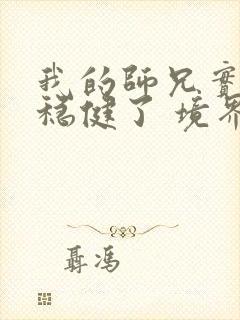 我的师兄实在太稳健了 境界划分