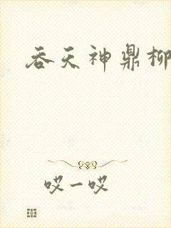 吞天神鼎柳无邪