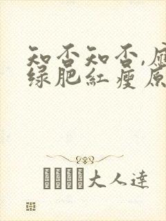 知否知否,应是绿肥红瘦原著小说封面
