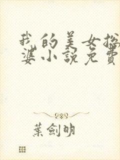 我的美女总裁老婆小说免费听书封面