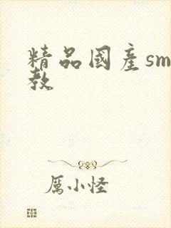 精品国产sm调教