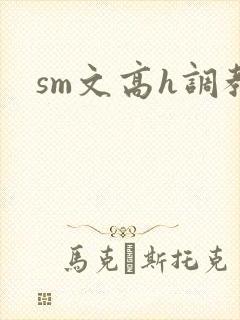 sm文高h调教