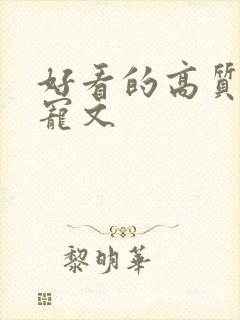 好看的高质量甜宠文