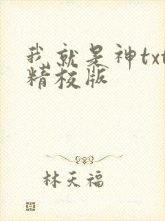 我就是神txt精校版