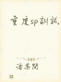 重度sp训诫文