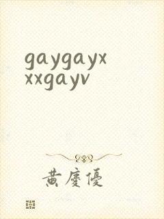 gaygayxxxgayv