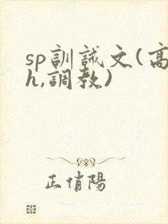 sp训诫文(高h,调教)