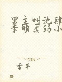 男主叫沈肆女二李明柔的小说