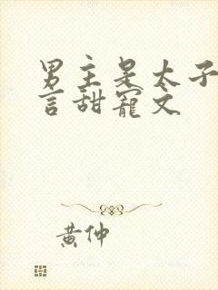 男主是太子的古言甜宠文