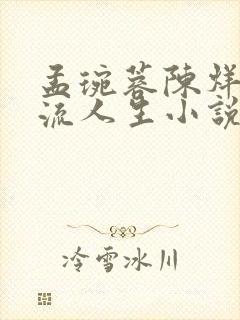 孟琬蓉陈烊的风流人生小说全文阅读封面