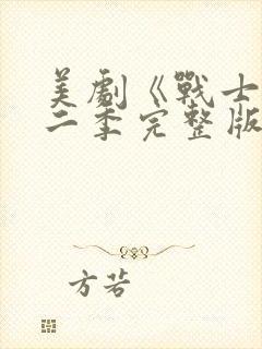 美剧《战士》第二季完整版在线观看
