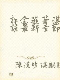 许念薇萧湛明小说最新章节免费阅读封面