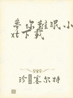 梦你难眠小说txt下载