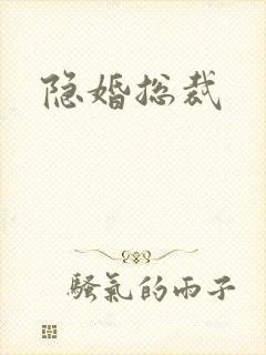 隐婚总裁
