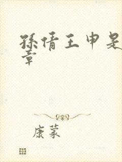 孙倩王申是第几章