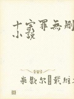 十宗罪无删减版小说封面