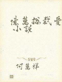 亿万总裁爱上我 小说