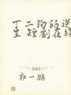 丁二狗的逆袭人生 短剧在线观看