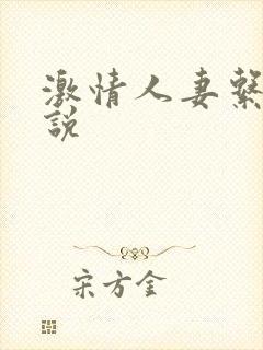 激情人妻系列小说