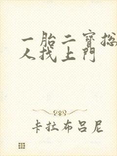一胎二宝总裁大人找上门