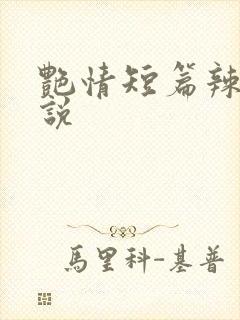 艳情短篇辣文小说