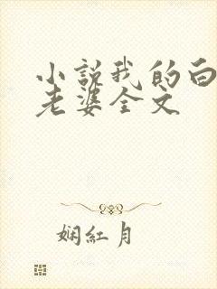 小说我的白富美老婆全文