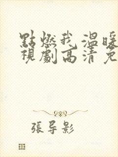 点燃我温暖你电视剧高清免费