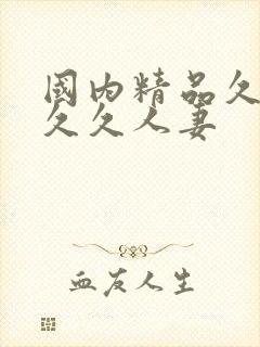 国内精品久久久久久人妻