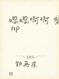 嗯嗯啊啊 双性 np