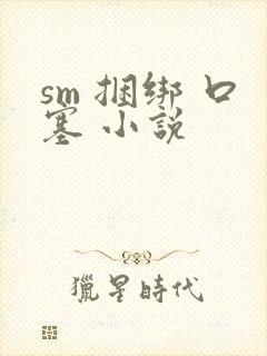 sm 捆绑 口塞 小说