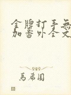 金牌打手无删减加番外全文阅读txt