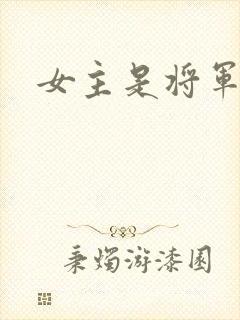 女主是将军封面