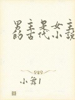 男主是女主护卫的古代小说