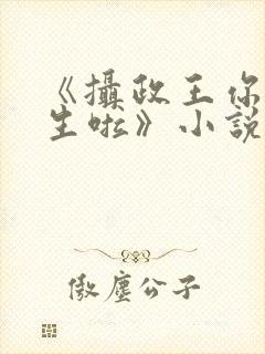 《摄政王你也重生啦》小说