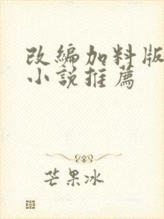 改编加料版同人小说推荐