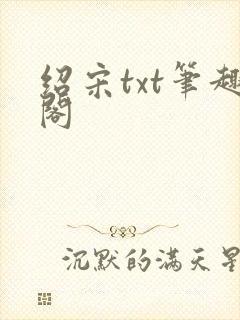 绍宋txt笔趣阁