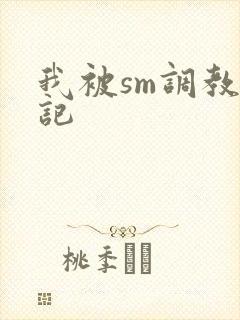 我被sm调教日记